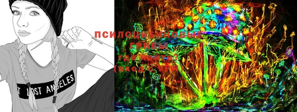 PSILOCYBIN Нестеровская