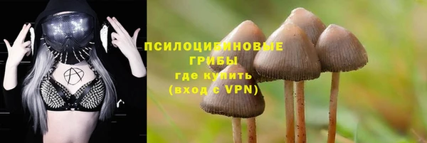 альфа пвп Калининец