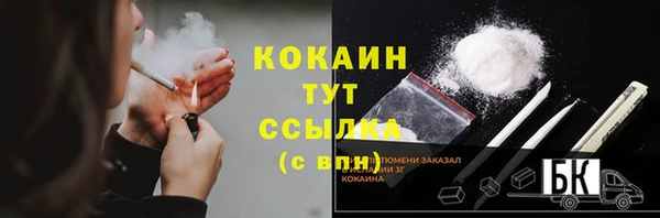 PSILOCYBIN Нестеровская
