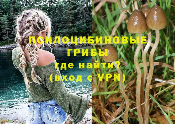 альфа пвп Калининец