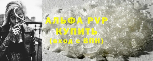 PSILOCYBIN Нестеровская