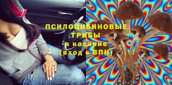 PSILOCYBIN Нестеровская
