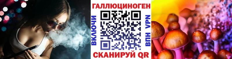 дарнет шоп  Шахты  Псилоцибиновые грибы мицелий 