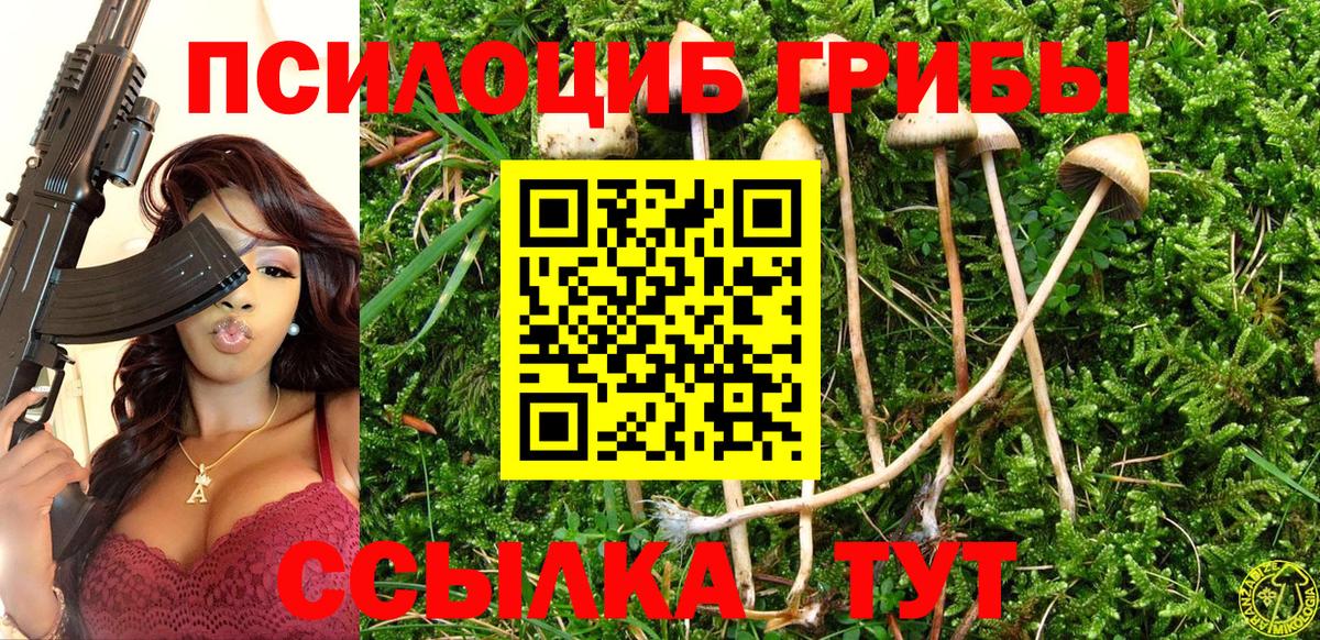Псилоцибиновые грибы прущие грибы  Галлюциногенные грибы прущие грибы  Шахты 
