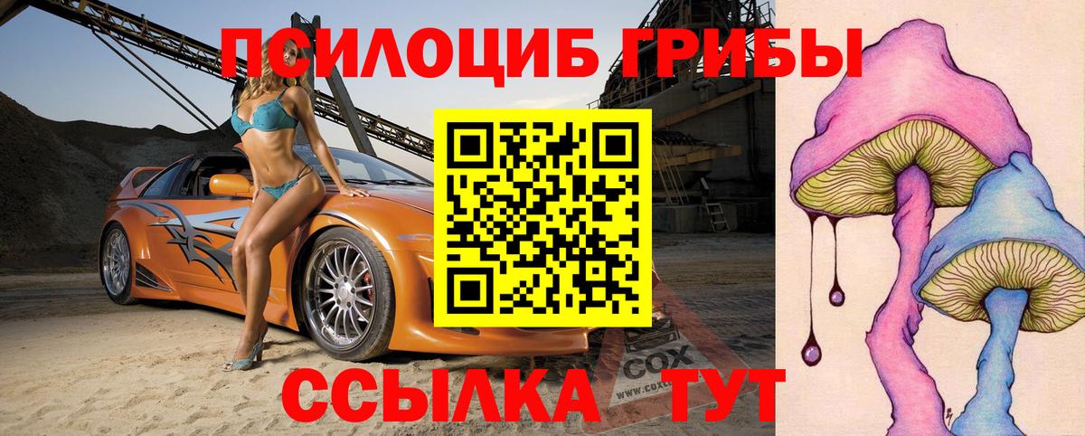 Галлюциногенные грибы Psilocybine cubensis Шахты