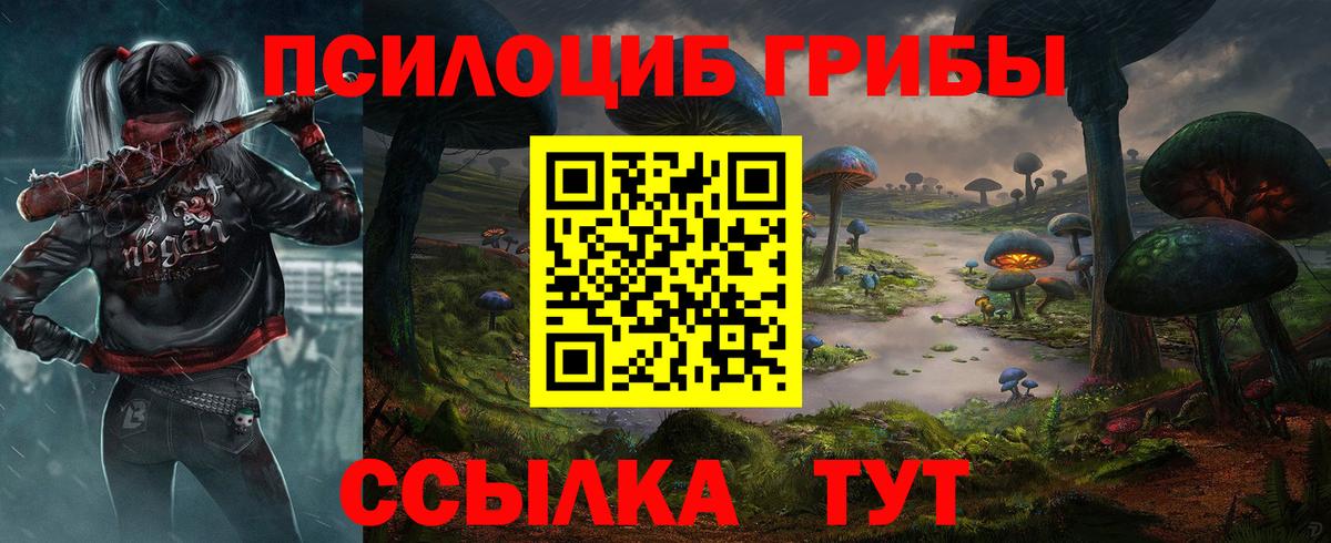 Шахты  продажа наркотиков  Вход с VPN  Галлюциногенные грибы Cubensis 