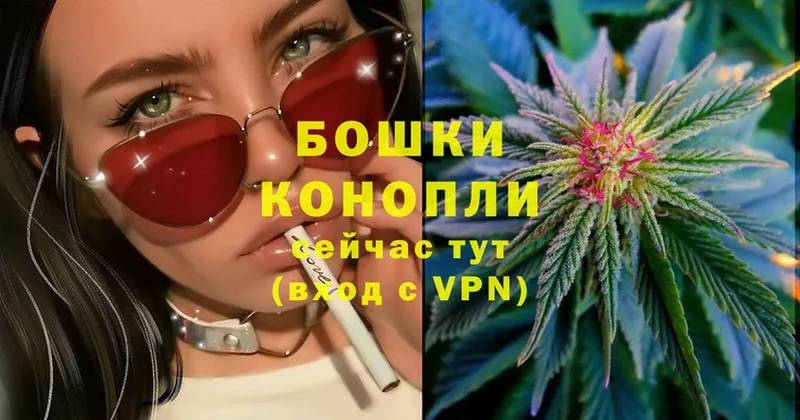 Марихуана SATIVA & INDICA  Шахты 